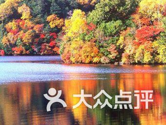 中国旺旺1月22日斥资约1392.82万港元回购325.6万股
